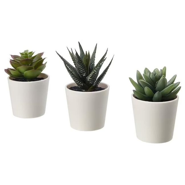 Ikea FEJKA/Feika: Artificial Ornamental Plants with Pot Cover, 4.7 inches (12 cm), Set of 3, Succulent (205.197.65)