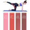 Your Choice Exercise Band, Emilenata Training, Cera Band, Rubber Band, Tomo Okabe, Training Tube, Fitness, Gym, Diet, Shape, Yoga, Slide Disc, Muscle Training, Beautiful Legs, Beautiful Butt, Strengthening, Set of 4 Different Strength, Storage Pouch Inclu
