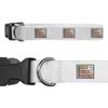 Large 'Stepping into a Brighter Future' Dog Collar (PR00061834)