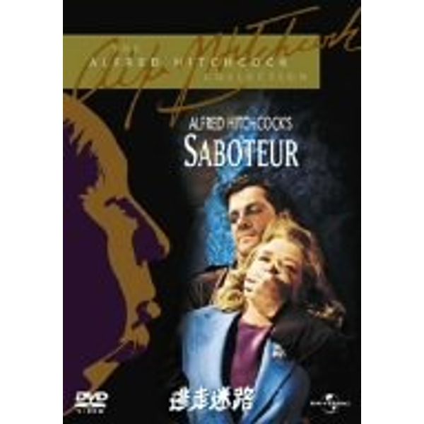 逃走迷路 [DVD]