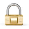 Viro 202 Cylinder Padlock, 30 mm Base