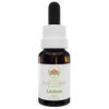 Australian Bush Flower Essences Lichen 15ml