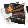 Dimensions Sunlit Fox Counted Cross Stitch Kit, 14 Count Black Aida, 14'' x 11''