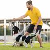 NEW Rechargeable Anti Barking Device Ultrasonic Dog Training-Bark Control Device