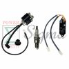Ignition Coil Module Spark Plug For Harbor Predator 3500 Watt Inverter Generator