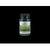 Swanson Cinnamon Extract 250 mg 90 Capsules