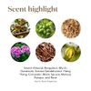 White Angelica 5ml Essential Oil by Young Living Essential Oils