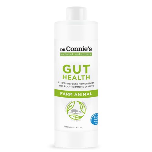 Dr Connies Gut Health | Supplement to Support Farm Animal Gut Barrier | Antibiotic-Free & Veterinarian-Developed | Increase Digestive Health Swine, Poultry, Calves