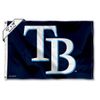 Tampa Bay Rays Boat and Golf Cart Flag