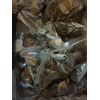 Mixed Bulk Lot of 100 Assorted World/Foreign Coins! Nice Beginner Lot!