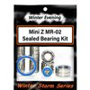 Winter Evening - Kyosho Mini Z MR-02 Bearing Kit