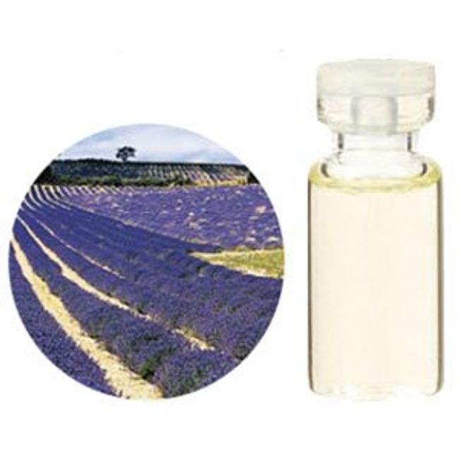 Tree of Life Org Lavender French 10ml