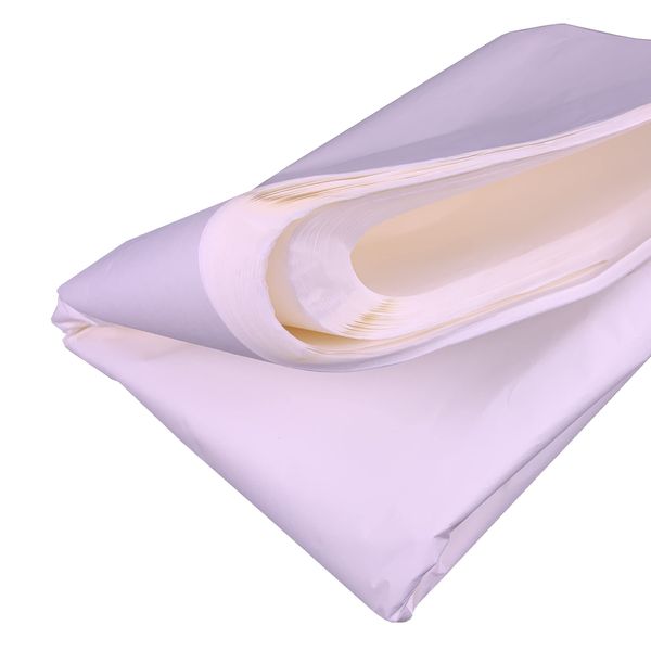 Carnival Papers Wet Strength White Tissue Paper 10 Sheets Alternative to Deli Paper for Model Making, Geli Printing, Mixed Media Crafts etc Resistant to Tearing When Wet