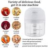 Electric Mini Garlic Press Chopper Meat Food Processor Mincer Portable USB 250ML