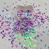 PrettyG 10 Grams/Pack - Pearl Iridescent Dinosaur Shape Glitter Sequins - Festival Rave Beauty Makeup Face Body Nail Craft Art Decoration (Mixes Colors)