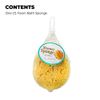 Jacent Deep Cleaning Sea Foam Bath and Body Sponge, 1-Pack