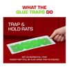Tomcat Super Hold Glue Traps Rat Size, Ready-To-Use, 2 Traps