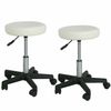 2 PCS Salon Style Swivel Round Barstools Adjustable Counter Chair Bar Massage