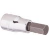 SK Tools USA 3/8" Drive, 10MM, Standard, Chrome Hex Bit Socket | 41409