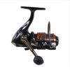 Shares Solfiesta Reel IXION ESR / 2000