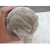 Fleetguard Fuel Filter FF5019