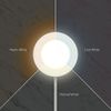 Under Cabinet Light - Sensio TrioTone™ Colour Selectable Under Kitchen Cabinet / Cupboard / Shelf Surface Light (Bermuda, 1 Light)