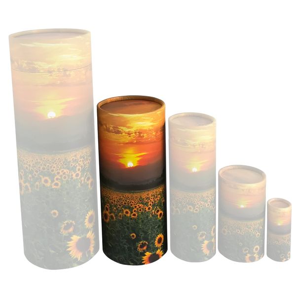 Sunflower Scatter Tubes for Adult Ashes – Biodegradable Cardboard Cremation Urns (Medium)