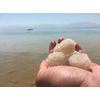 Fouf Dead sea Mineral Soap 3.5oz