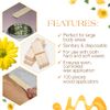 Gigi Accu Edge Wax Spatulas, 100 applicator