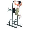 Weider Power Tower with 4 Workout Stations and 300 Lb. User Capacity