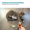 Petstages Catnip Dental Health Chews - Dental Care Chew Toy for Cats - Catnip - Multicoloured - Pack of 2