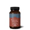 TERRANOVA Chaga - 500mg - 50 Vegicaps