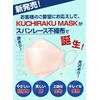 iSDG SPUN KUCHIRAKU MASK, Small, Individually Packaged, Pack of 30, White