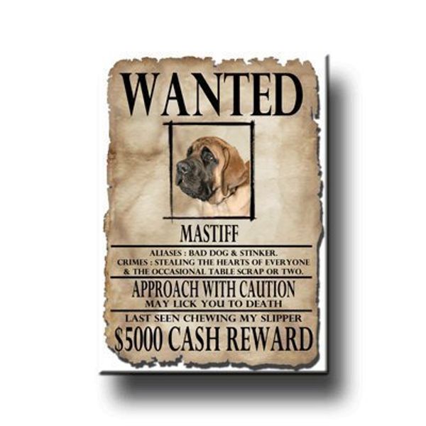 Mastiff Wanted Fridge Magnet