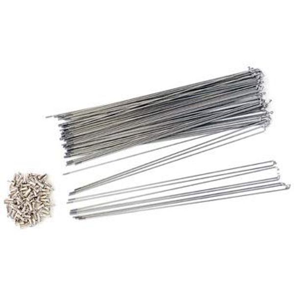 Pine "Spokes # 13 292 mm 36 Pieces Stainless Steel