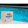 Rx Clear Swimming Pool Alkalinity Up Increaser Plus Sodium Bicarbonate - 25 lbs