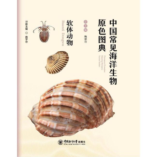 中国常见海洋生物原色图典——软体动物