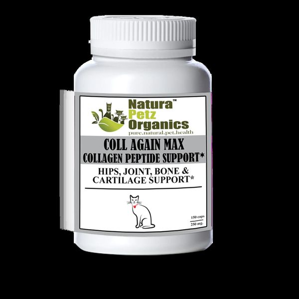 Coll Again Max Collagen Peptide Support Capsules* Hips, Joint, Bone & Cartilage