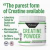 Probase Nutrition Creatine Powder 300 Grams