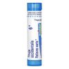 Thuja Occidentalis 6C, Wart Relief, 80 Pellets