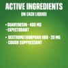 Mucinex Fast-Max DM, Max Strength, Cough Relief Liquid, 6oz