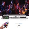 Metal Audio Processor Mixer 25W 110V Vocal Effects Processor with Bluetooth Professional Anti-howling Audio Processor for Home Performance (Silver)