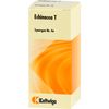 Synergon Komplex 4a Echinacea T Tbl., 100 St TAB