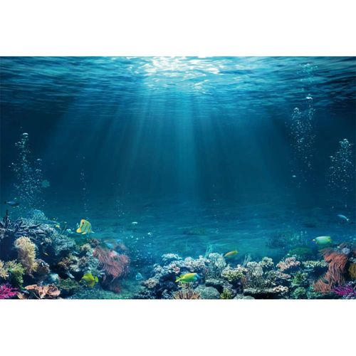 Canessioa Underwater World Backdrop Tropical Fish Coral Reef Deep Sea Sunlight Seabed Decorations Background Under The Sea Baby Shower Background Sea Aquarium Birthday Party Studio Props 10x8ft