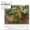 okato slippers & green lef
