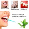 Floss Sticks Dental,100Pcs Mint Floss Picks for Teeth Cleaning