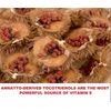 anatto seed powder_ 3 lb