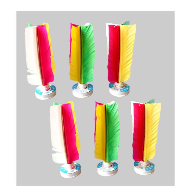 Chinese Traditional Feather Kick Shuttle Feather Foot Exercise Sports Game Kemari Set of 6