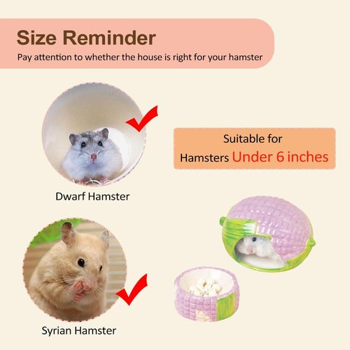ExcyphrXyf Ceramic Hamster Hideout,Corn Hamsters House and Habitat with Food Bowl, Syrian Hamster Hideout Decor Cool Bed for All Season Gerbil, Mice Guinea Pig （Purple）