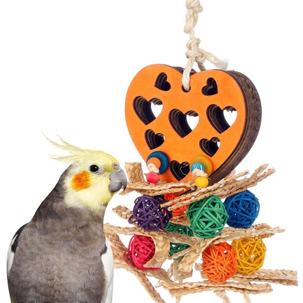 Super Bird Creations SB1207 Foraging Heart Bird Toy - Wooden Heart with Crunchy Cardboard Layers - Engaging Treat Holder Toy for Cockatiels, Caiques, Conures, Ringnecks - Ideal for Medium Bird Size